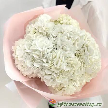 7 гортензий 