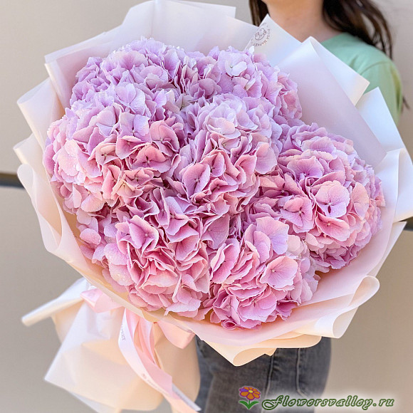 7 гортензий 