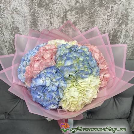 7 гортензий 