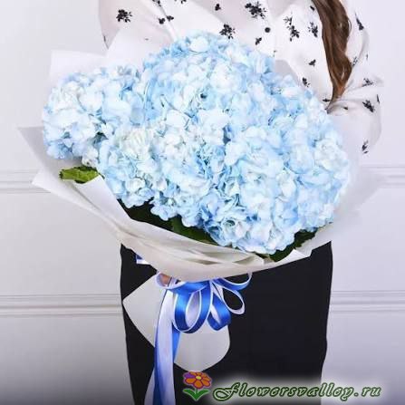 Букет из 7 гортензий