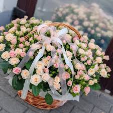 Корзинка из 15 кустовых роз