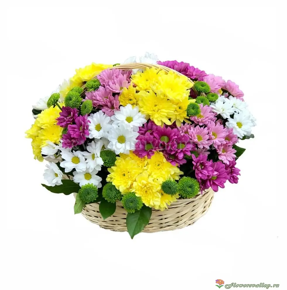 Корзинка с разноцветной хризантемой, 11 шт