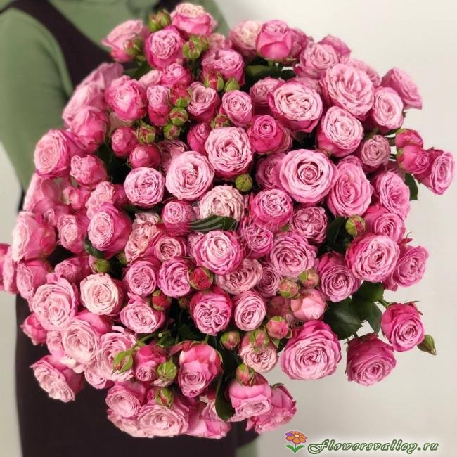 Леди бомбастик