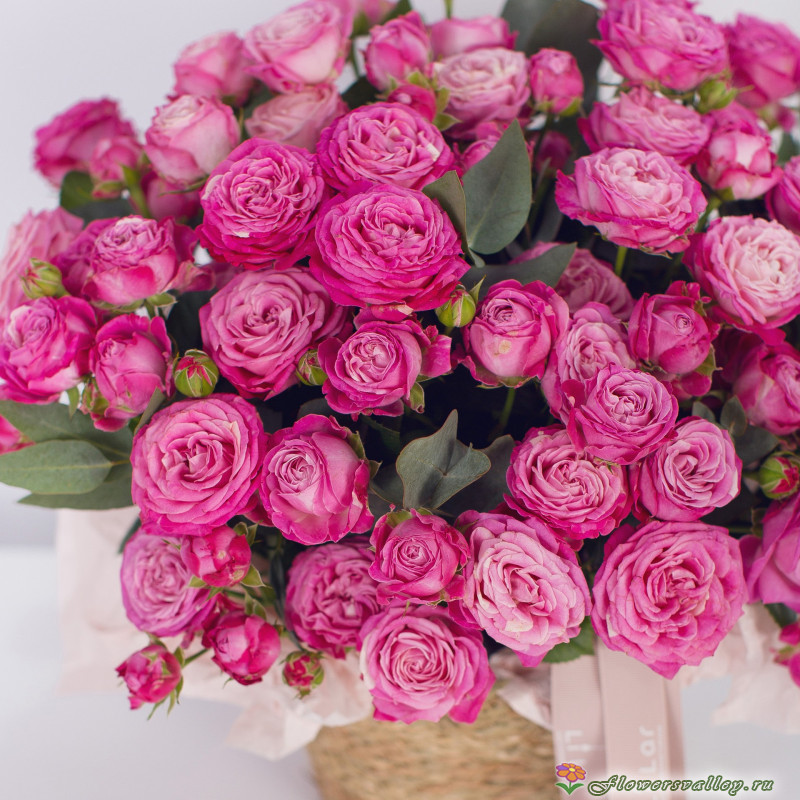 51 пионовидная роза