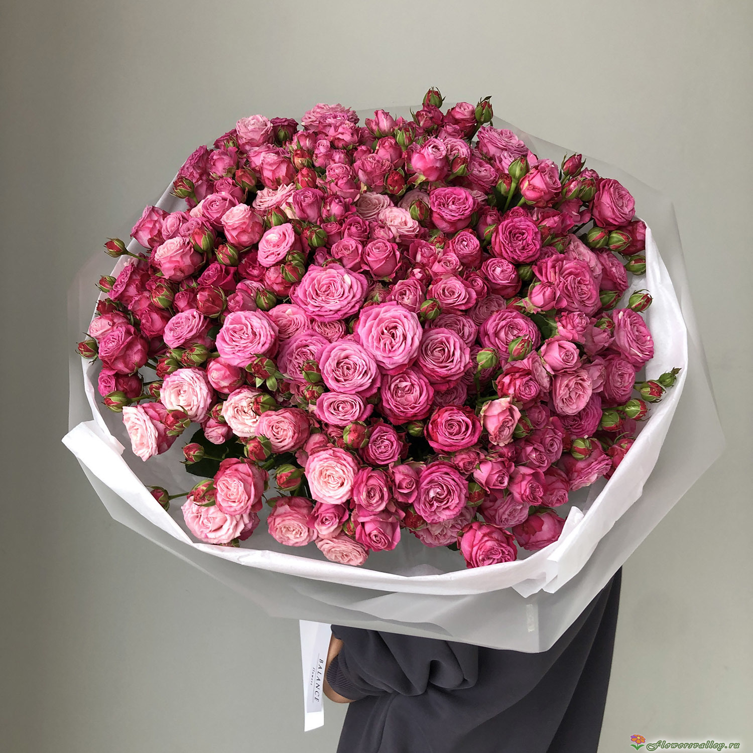 51 пионовидная роза