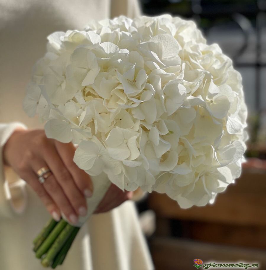 Букет невесты из белой гортензии. Фото 4.