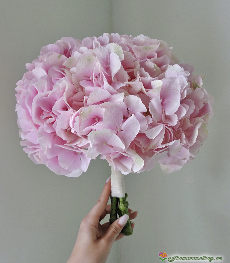 Букет невесты из розовой гортензии