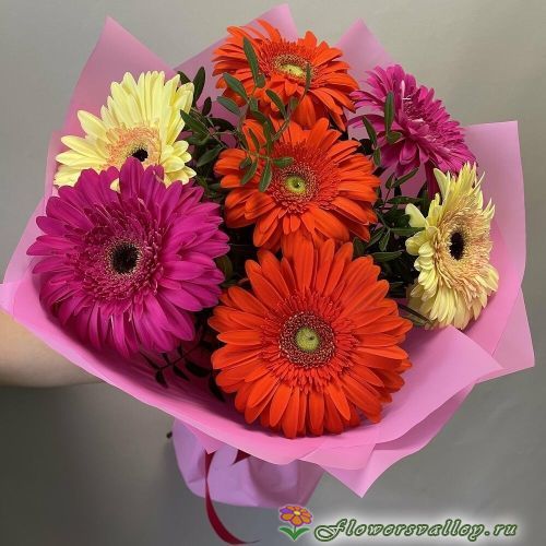 Букет из 7 гербер