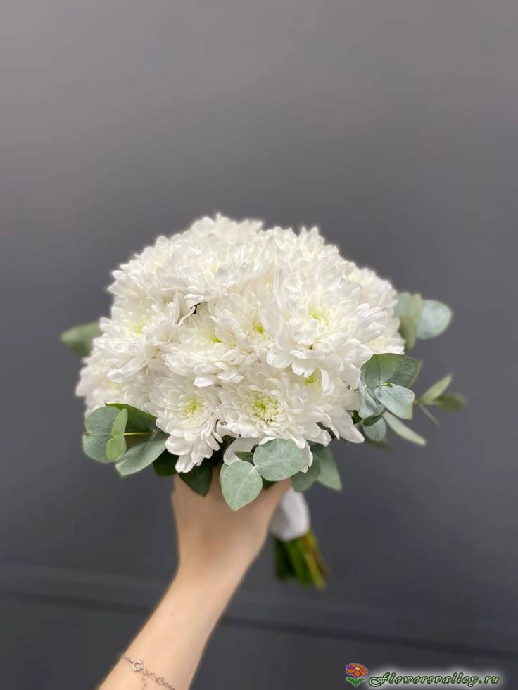 Букет невесты из белых хризантем