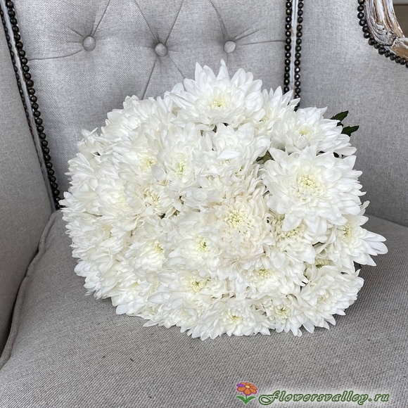 Букет невесты из белых хризантем