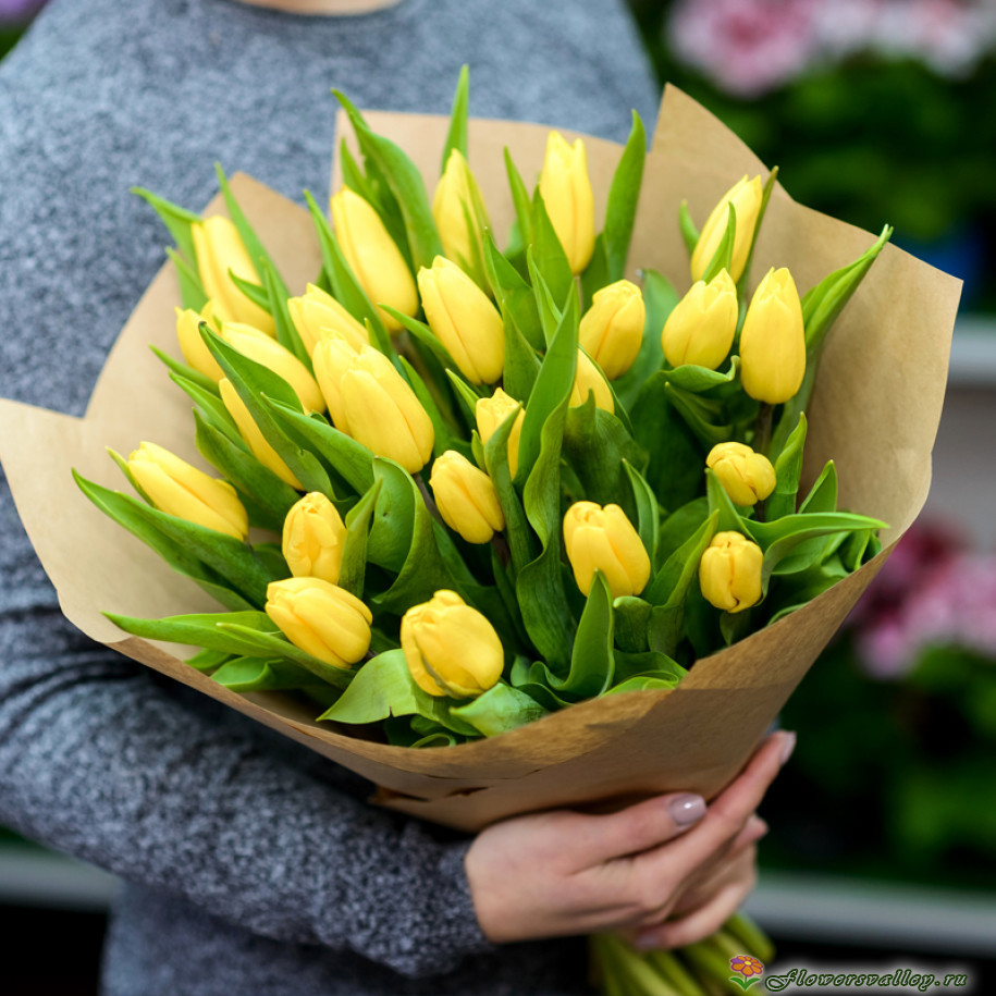 25 желтых тюльпанов