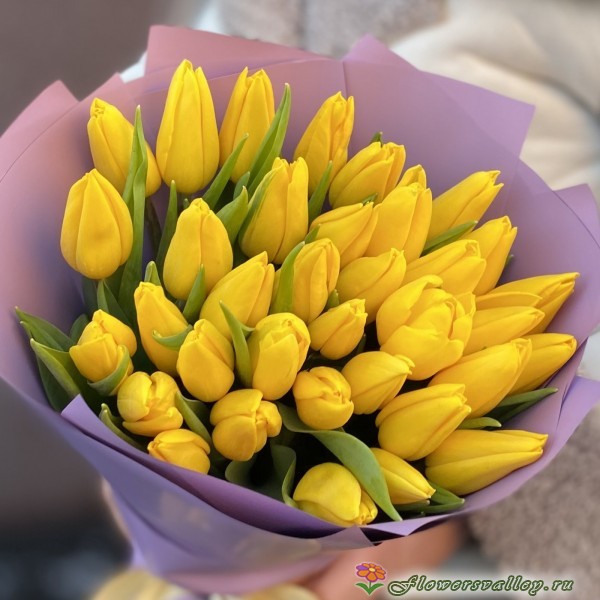 Тюльпаны желтые 