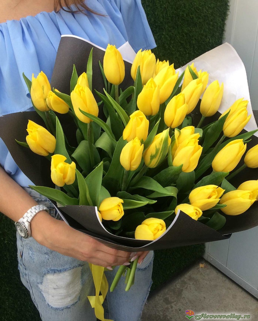 Тюльпаны желтые 