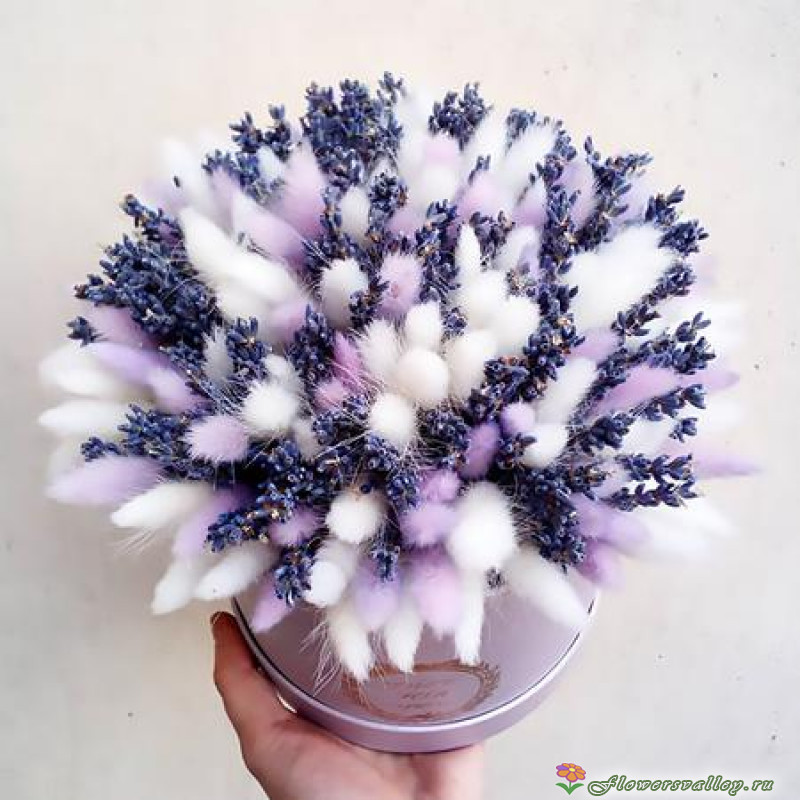 Букет из сухоцветов