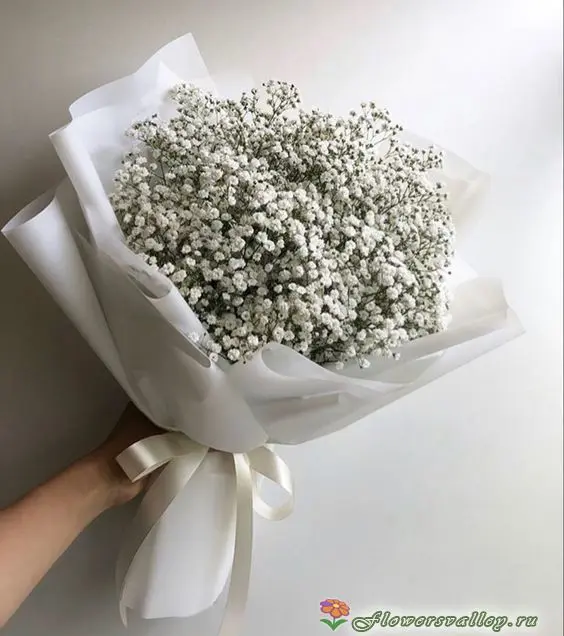 цветы для друзей купить