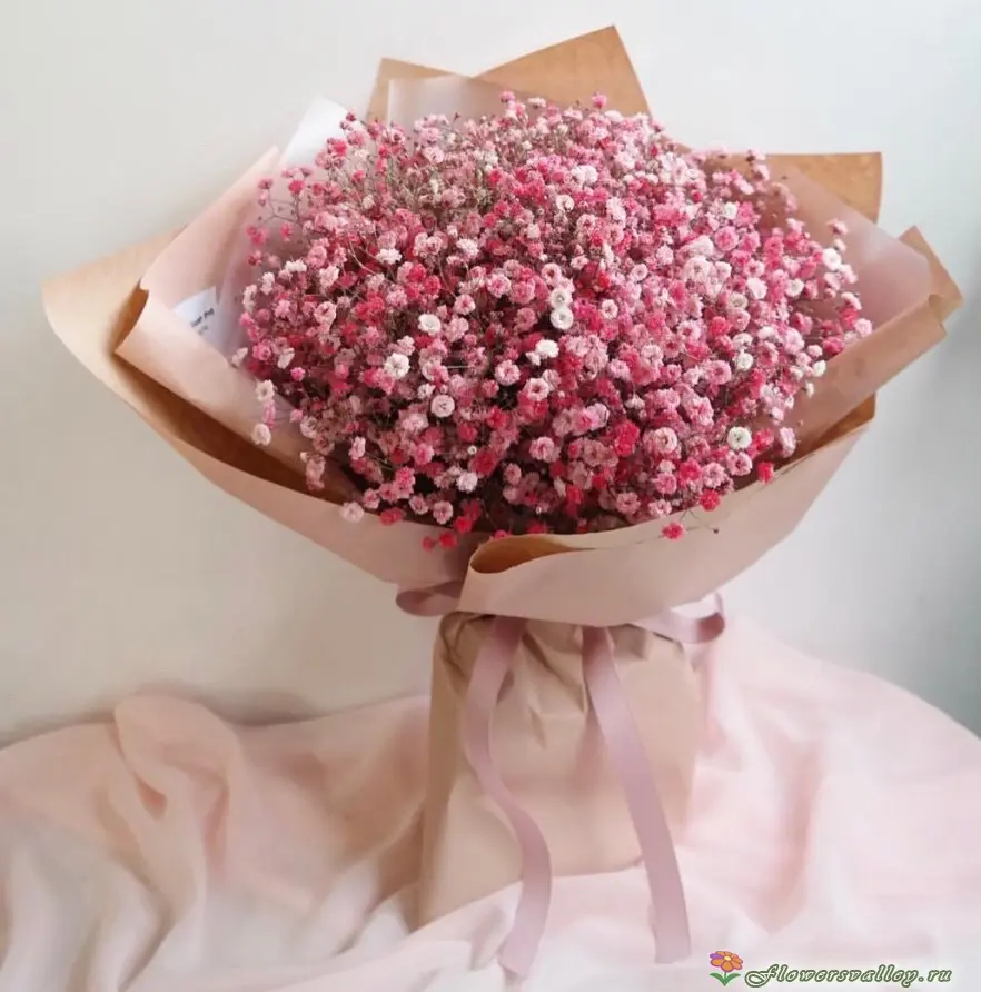Цветы гипсофилы букет цена фото ирисы купить в москве