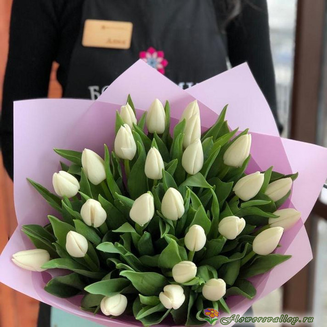 25 тюльпан белый