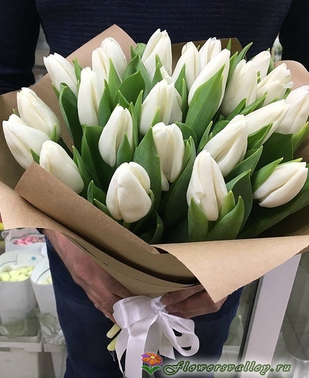 25 тюльпан белый