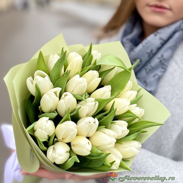 25 тюльпан белый