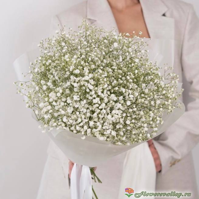 Букет из белой гипсофилы