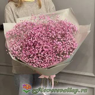 Букет из розовой гипсофилы