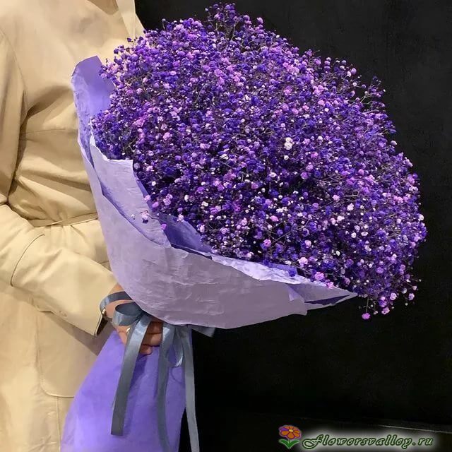 Букет из гипсофилы