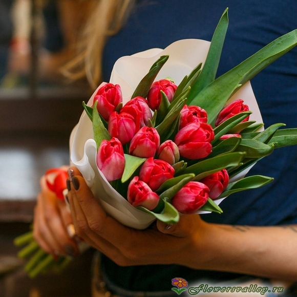 15 тюльпанов 