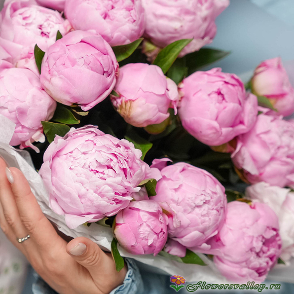 Розовые пионы с эвкалиптом 15 шт.