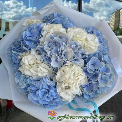 Букет из белой и голубой гортензии