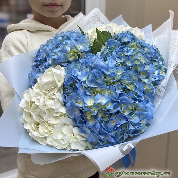 Букет из белой и голубой гортензии, 9 шт.