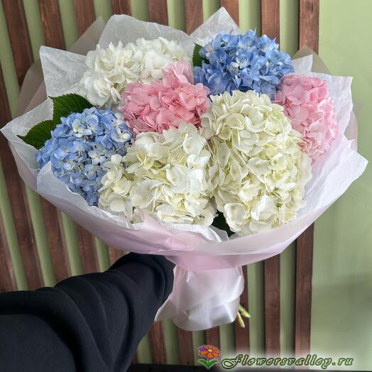 Букет из разноцветных гортензий, 7 шт.