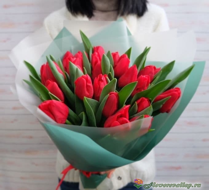 25 тюльпанов красных