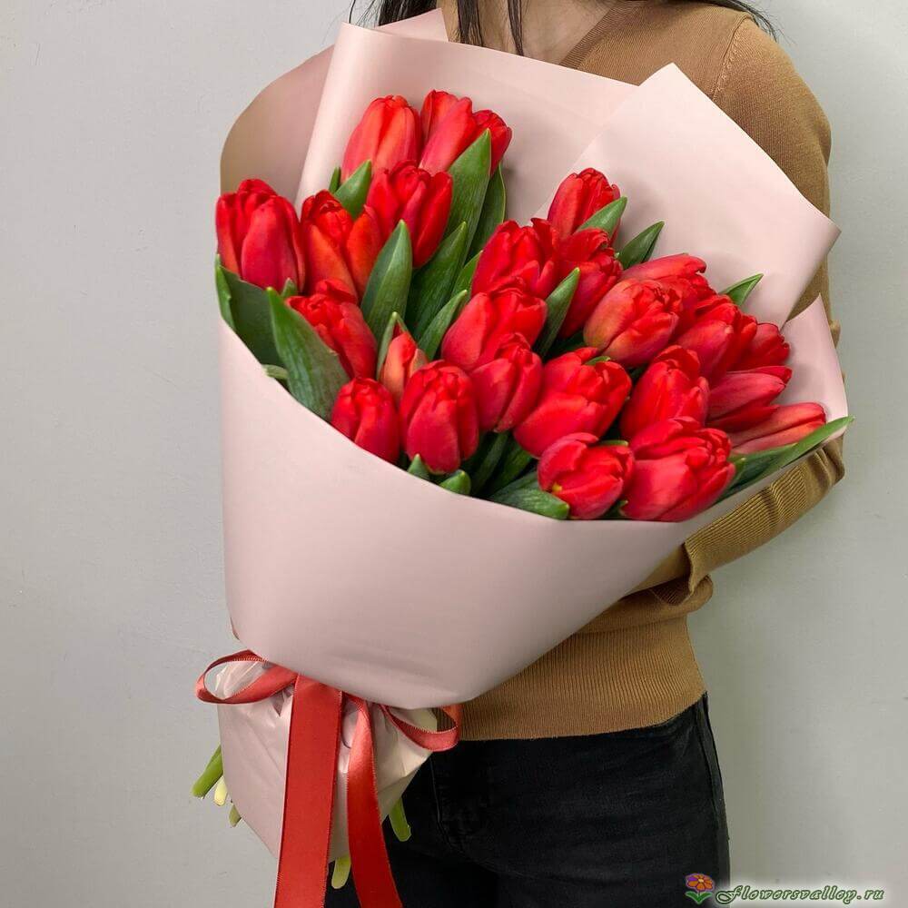 25 тюльпанов красных