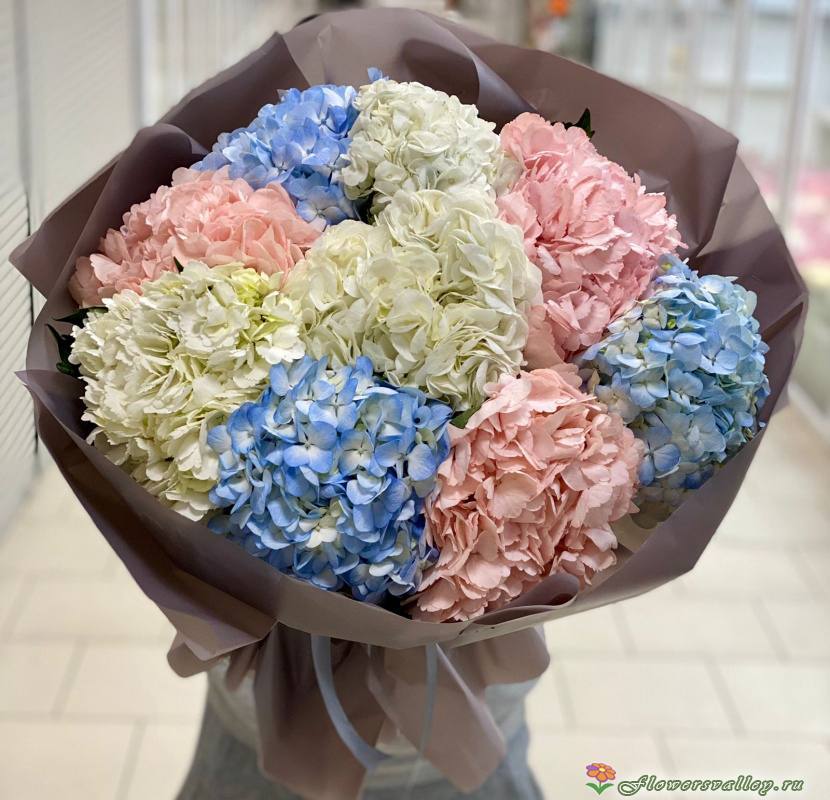 Букет из разноцветных гортензий, 9 шт.