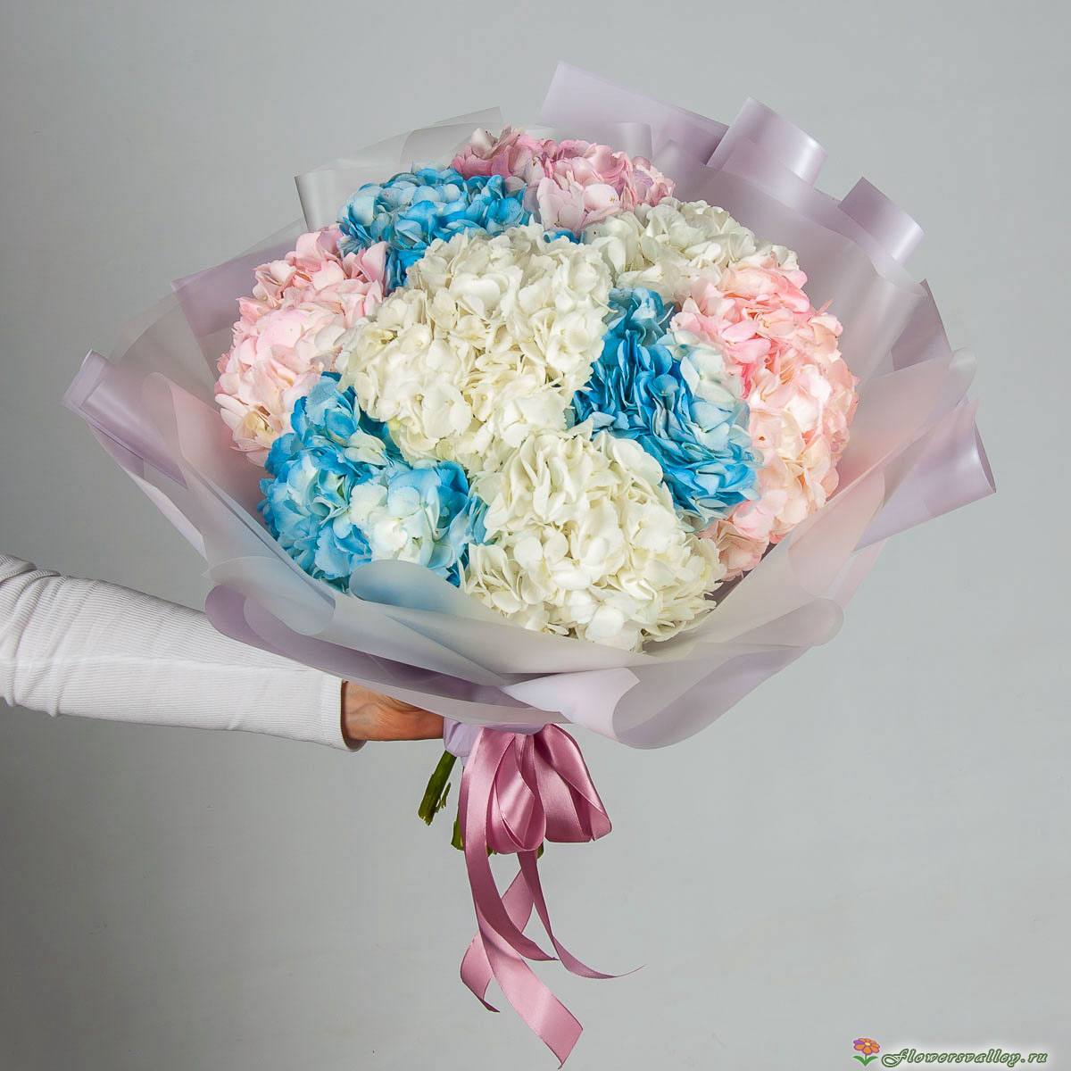 Букет из разноцветных гортензий, 9 шт.