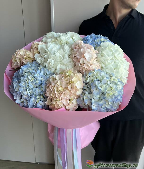 Букет из разноцветных гортензий, 9 шт.