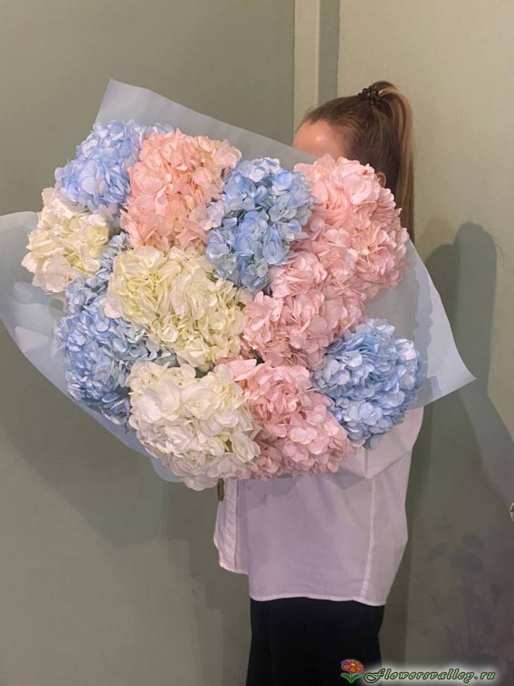 Букет из разноцветных гортензий, 11 шт.