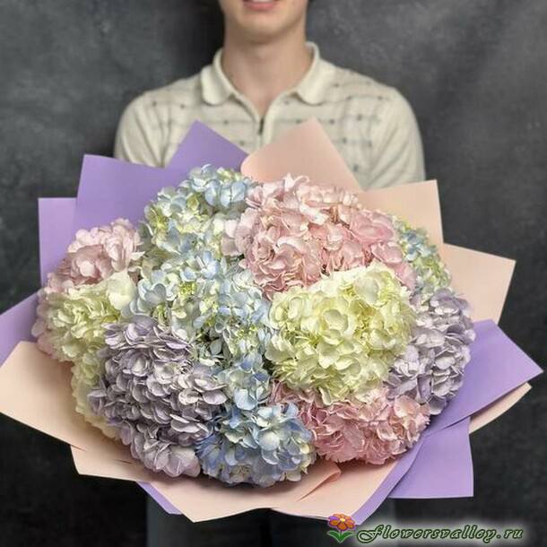 Букет из разноцветных гортензий, 11 шт.