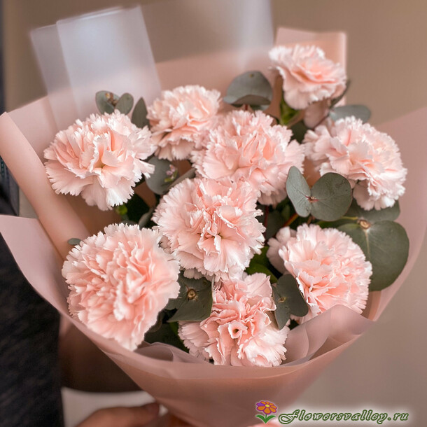 Букет из гвоздик и эвкалипта, 11 шт