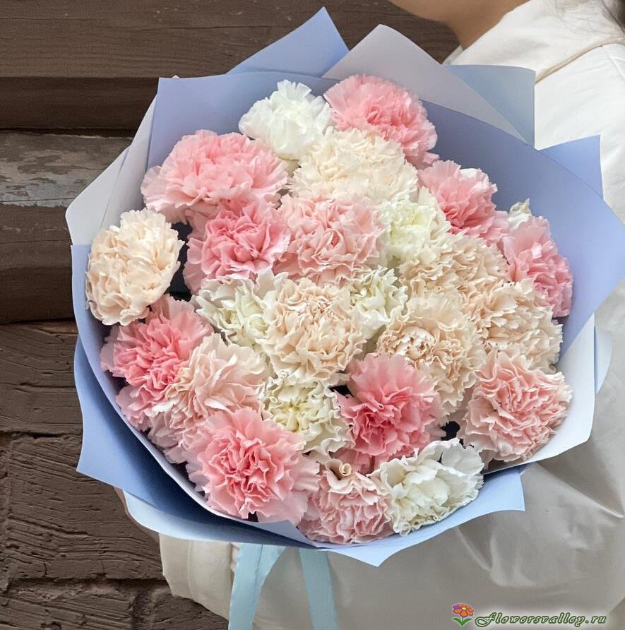 Букет из гвоздик и эвкалипта, 25 шт