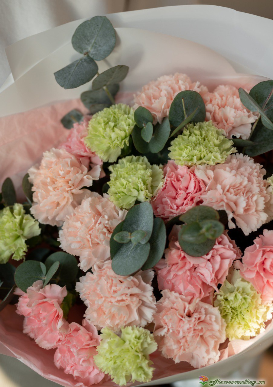 Букет разноцветных гвоздик, 25 шт