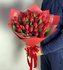 Красные тюльпаны