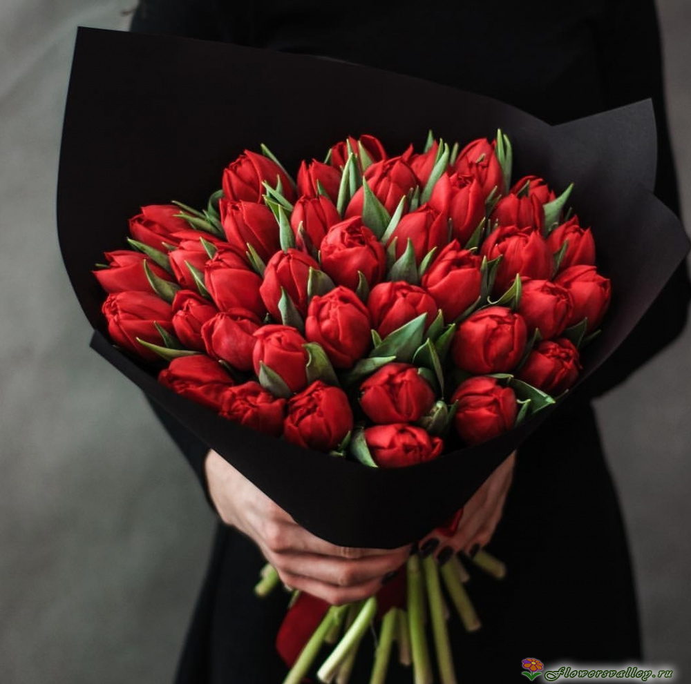 Красные тюльпаны