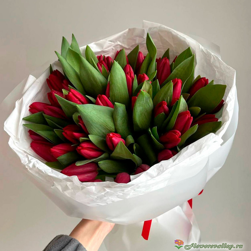 Красные тюльпаны