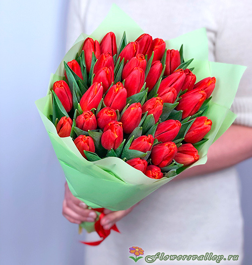 Красные тюльпаны