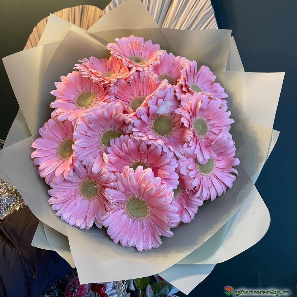 Букет из 15 розовых гербер