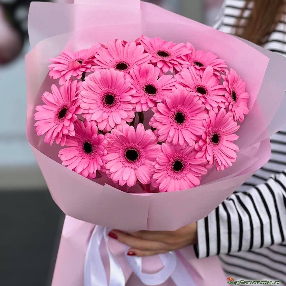 Букет из 15 розовых гербер