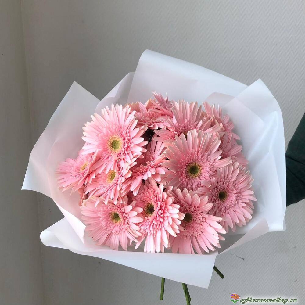 Букет из 15 розовых гербер