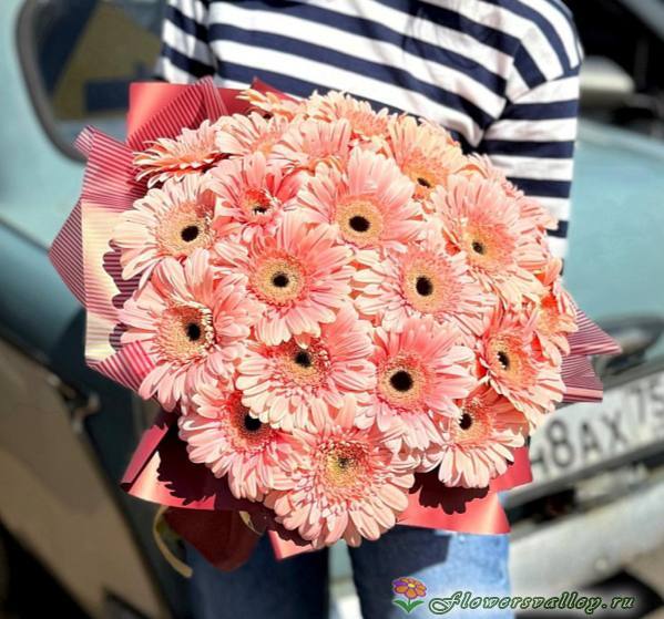 Букет из 25 розовых гербер