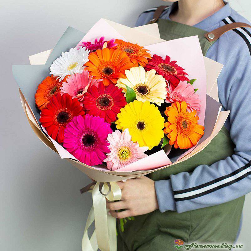 Букет из 15 разноцветных гербер